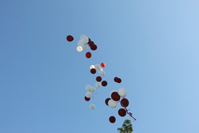 2018-06-29 20-30-44 (2)