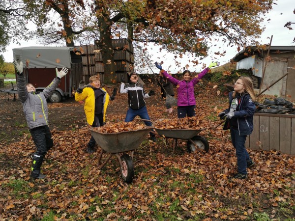 2019-11-04 10-03-15 (2)