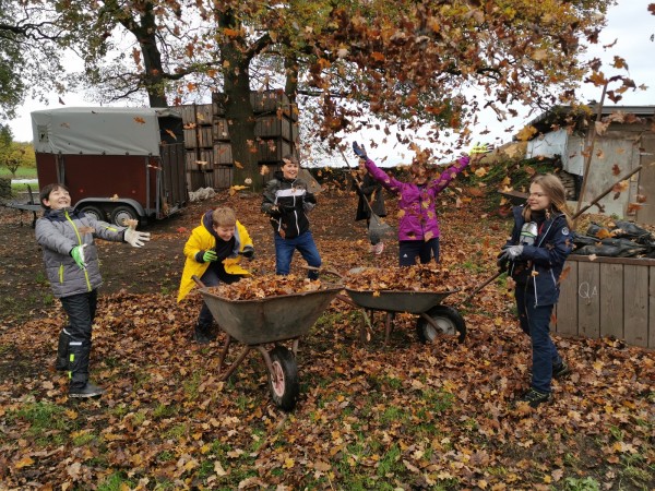 2019-11-04 10-03-15 (3)