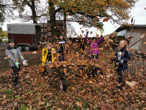 2019-11-04 10-03-16 (3)