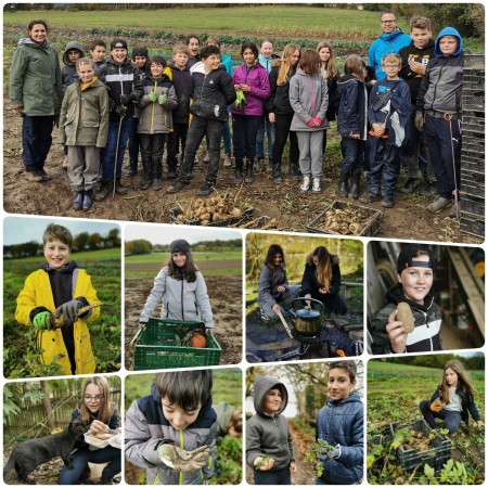 2019-11-04_hofsackern