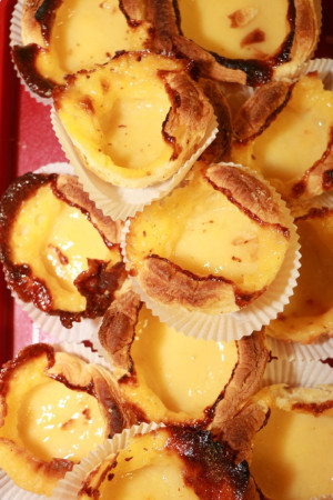 2024-01-25 08-31-59_web