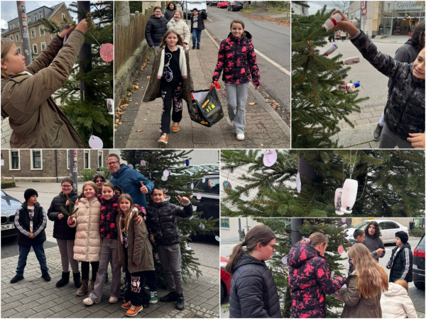 2024-11-28 Weihnachtsbaum 5b