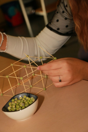 2024-11-30 11-12-39 - IMG_6080_web