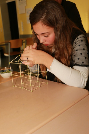 2024-11-30 11-21-24 - IMG_6082_web